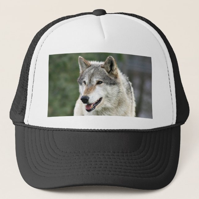 Gorra De Camionero Wolf (Anverso)