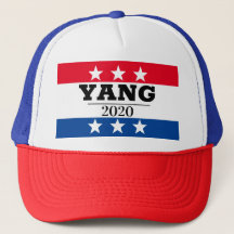 YANG 2020 Elecciones