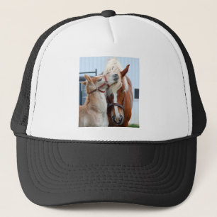 Gorra De Camionero yegua y potra belgas