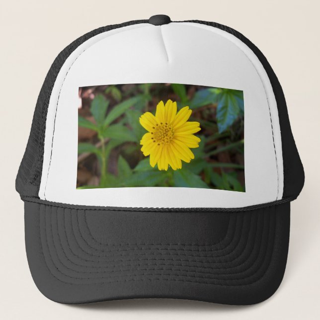 Gorra De Camionero yellow trailing daisy (Anverso)