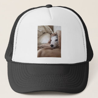 Gorra De Camionero Yoda Jack Russell Terrier, amigo de Zoe
