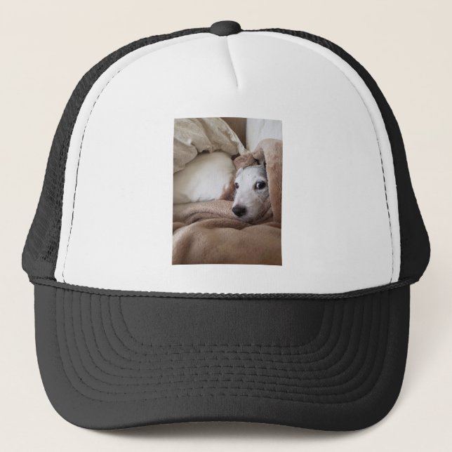 Gorra De Camionero Yoda Jack Russell Terrier, amigo de Zoe (Anverso)