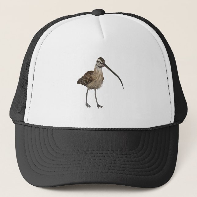 Gorra De Camionero Zarapito longirrostro (Anverso)
