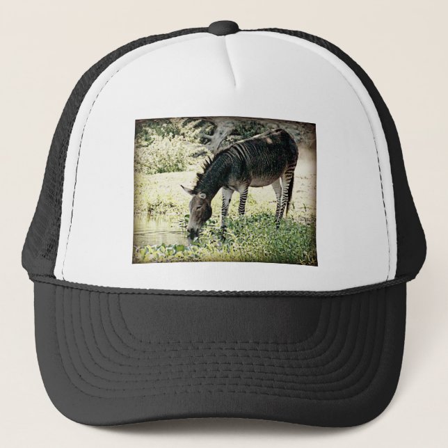 Gorra De Camionero "Zedonk " (Anverso)