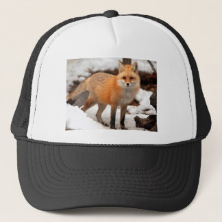 Gorra De Camionero Zorro rojo en la nieve