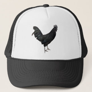 gorra de gallo negro