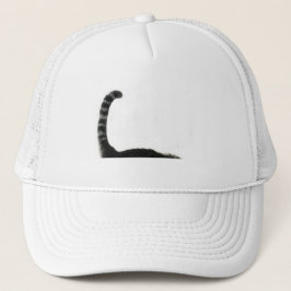 gorra de gato