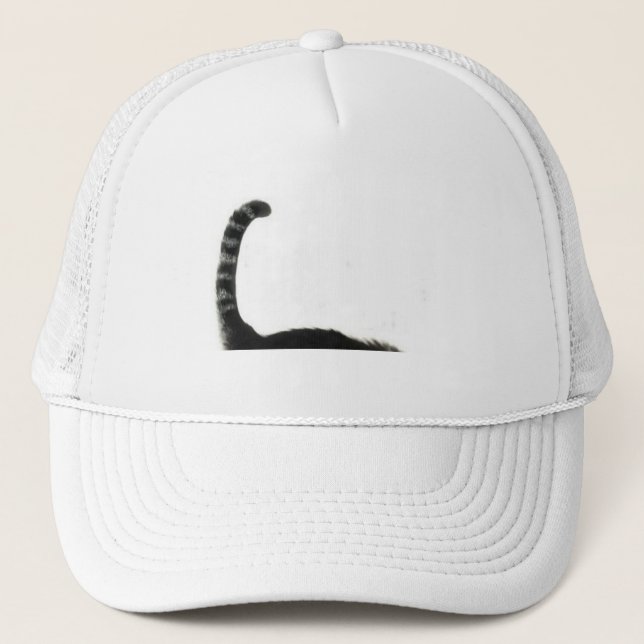 gorra de gato (Anverso)