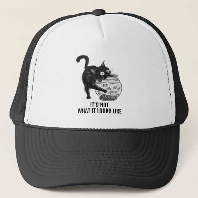 Gorra de gato y pescado (Anverso)
