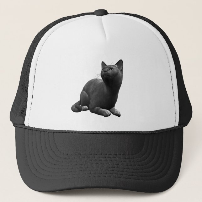 Gorra de gatos negros tranquila (Anverso)