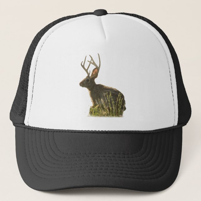 Gorra de Jackalope (Anverso)