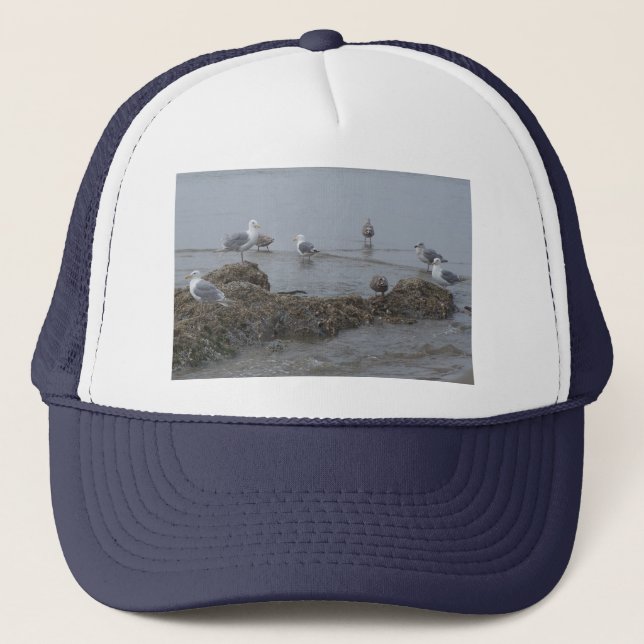 Gorra de la gaviota (Anverso)