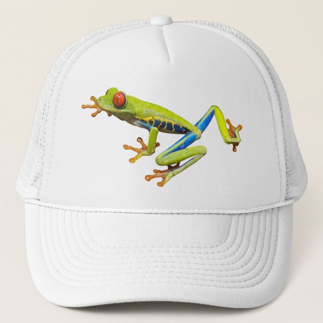 Gorra de la rana arbórea (Anverso)