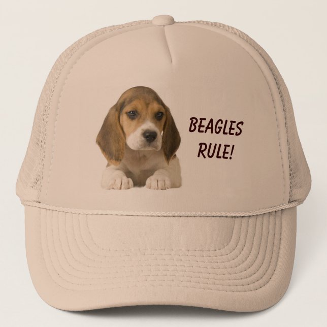 Gorra de la regla de los beagles (Anverso)