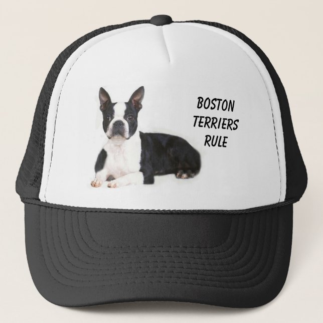 Gorra de la regla de los terrieres de Boston (Anverso)