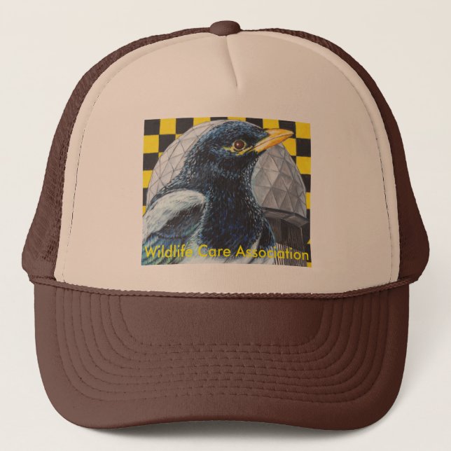 Gorra de la urraca (Anverso)