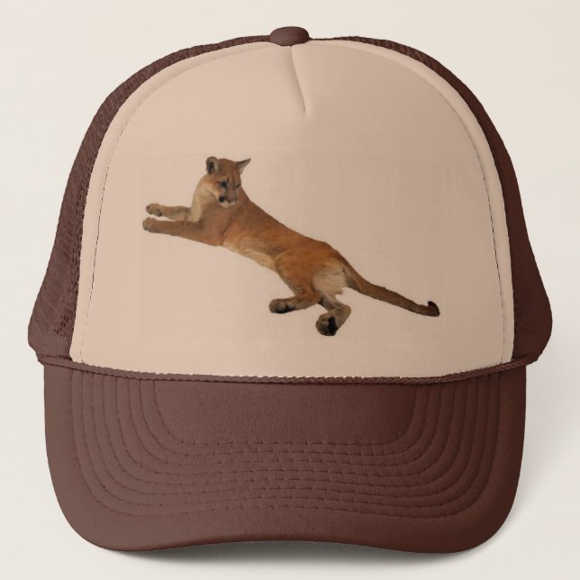 Gorra de leones de montaña (Anverso)