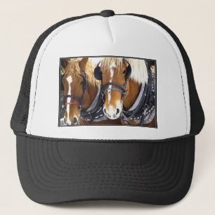 Gorra de los caballos de proyecto de Clydesdale