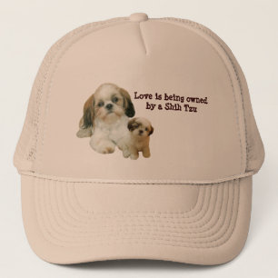 Gorra de los compinches de Shih Tzu