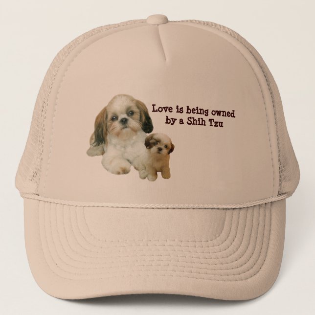 Gorra de los compinches de Shih Tzu (Anverso)