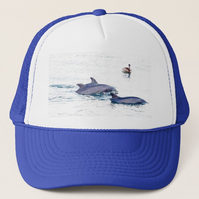 Gorra de los delfínes de Bottlenose (Anverso)
