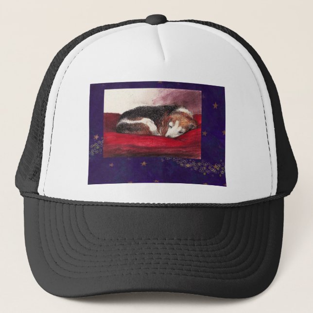 GORRA DE PET-BEAGLE (Anverso)