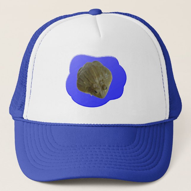 Gorra de ranas torales (Anverso)