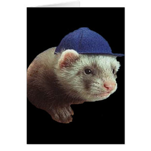 Gorra de uso de Ferret