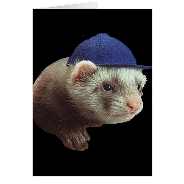 Gorra de uso de Ferret (Frente)