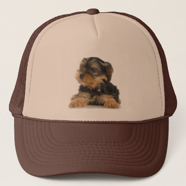 Gorra de Yorkshire Terrier (Anverso)