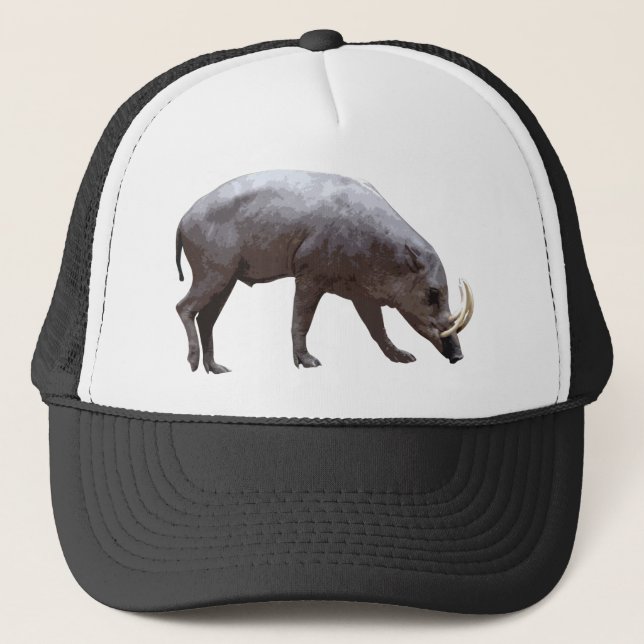 Gorra del Babirusa (Anverso)