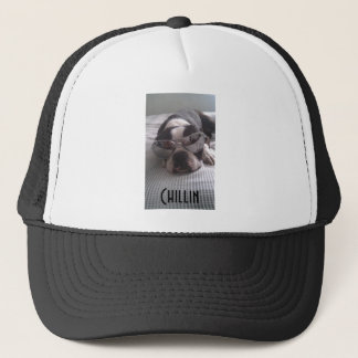 Gorra del camionero de Boston Terrier