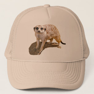 Gorra del camionero de la imagen de Meerkat