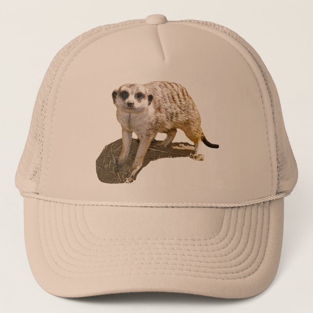 Gorra del camionero de la imagen de Meerkat (Anverso)