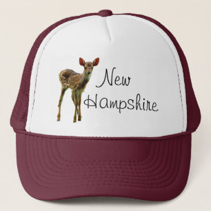 Gorra del camionero de New Hampshire