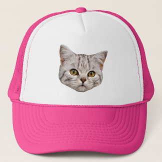 Gorra del camionero del gato