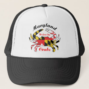 Gorra del casquillo del camionero de la bandera