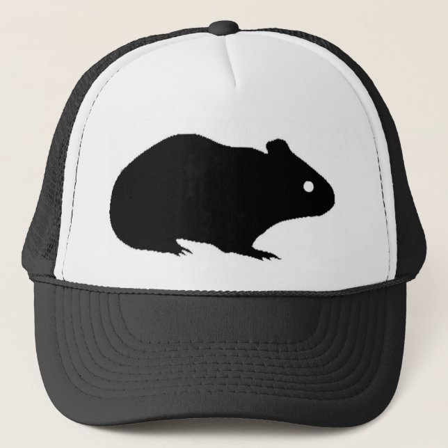 Gorra del conejillo de Indias (Anverso)