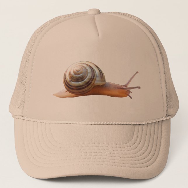 Gorra del ~ del caracol (Anverso)