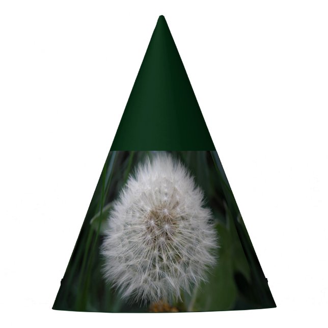 Gorra del Fiesta de las flores de Dandelion (Anverso)