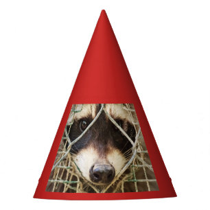 GORRA DEL FIESTA DE RACCON