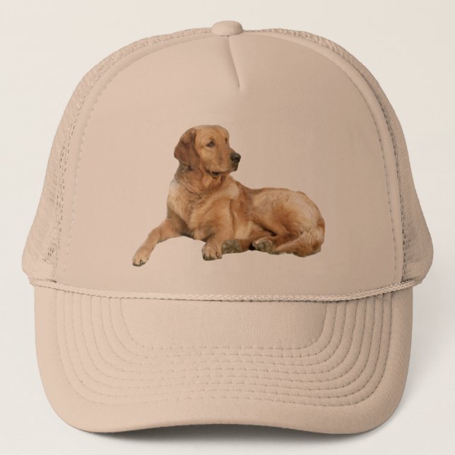 Gorra del golden retriever (Anverso)