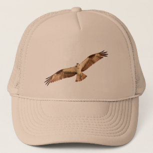 Gorra del halcón de Osprey