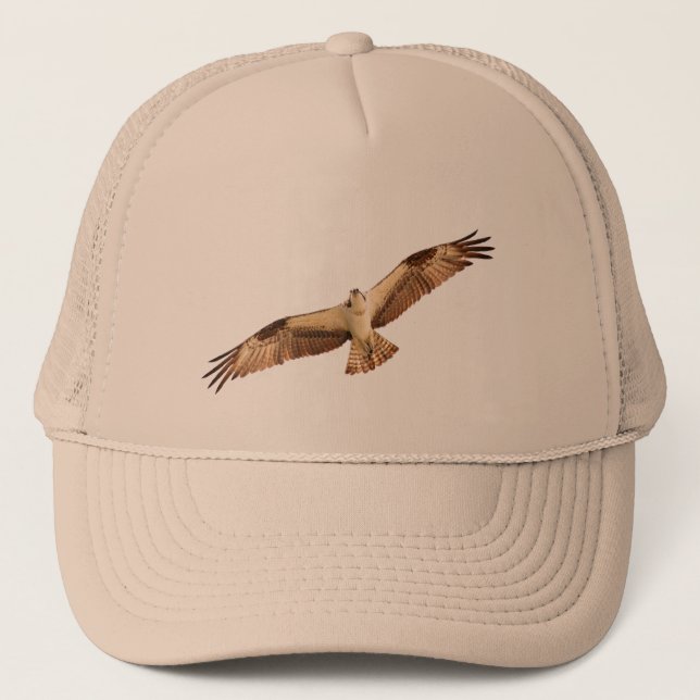 Gorra del halcón de Osprey (Anverso)