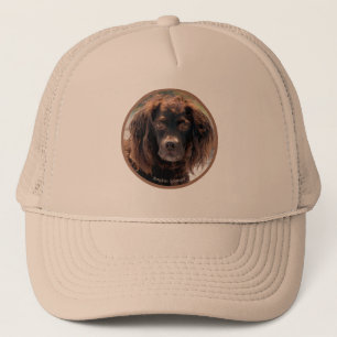 Gorra del perro de aguas de Boykin