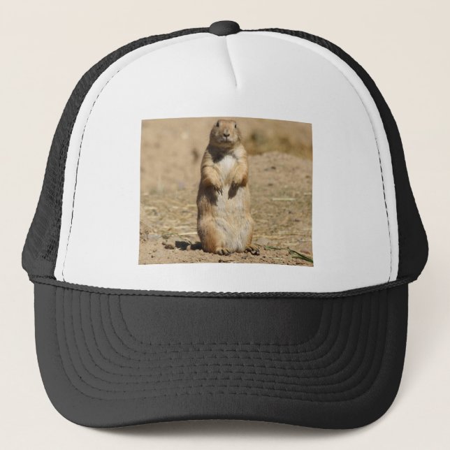 Gorra del perro de las praderas (Anverso)