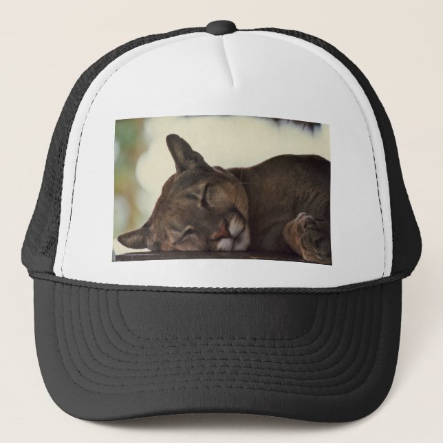 Gorra del puma el dormir (Anverso)