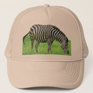 Gorra del safari de la cebra