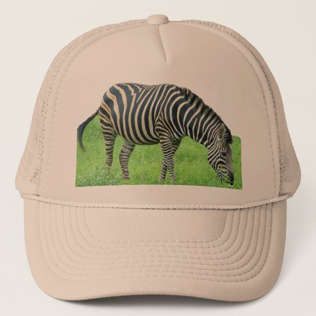 Gorra del safari de la cebra (Anverso)
