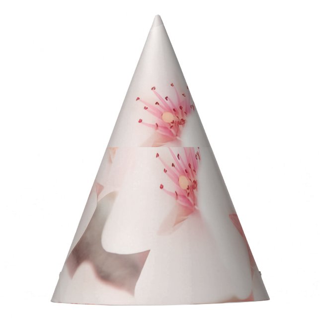 Gorra fiesta (Anverso)